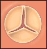 Image of closed valve